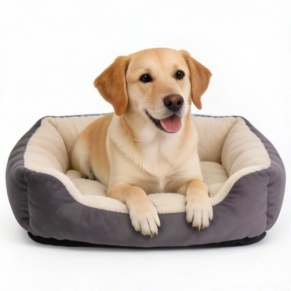 dog bed cozy brown