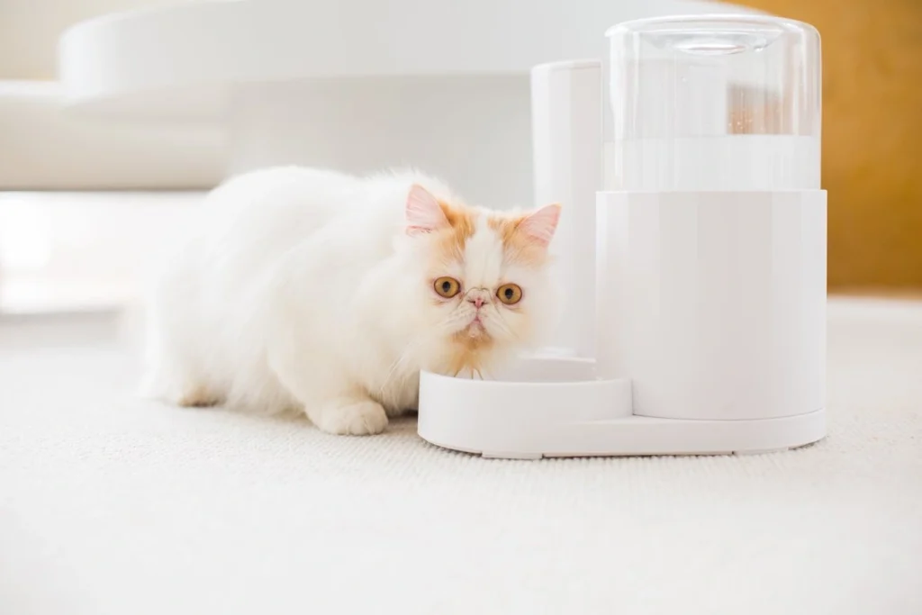 automatic smart pet water fountain with quadruple filtration system